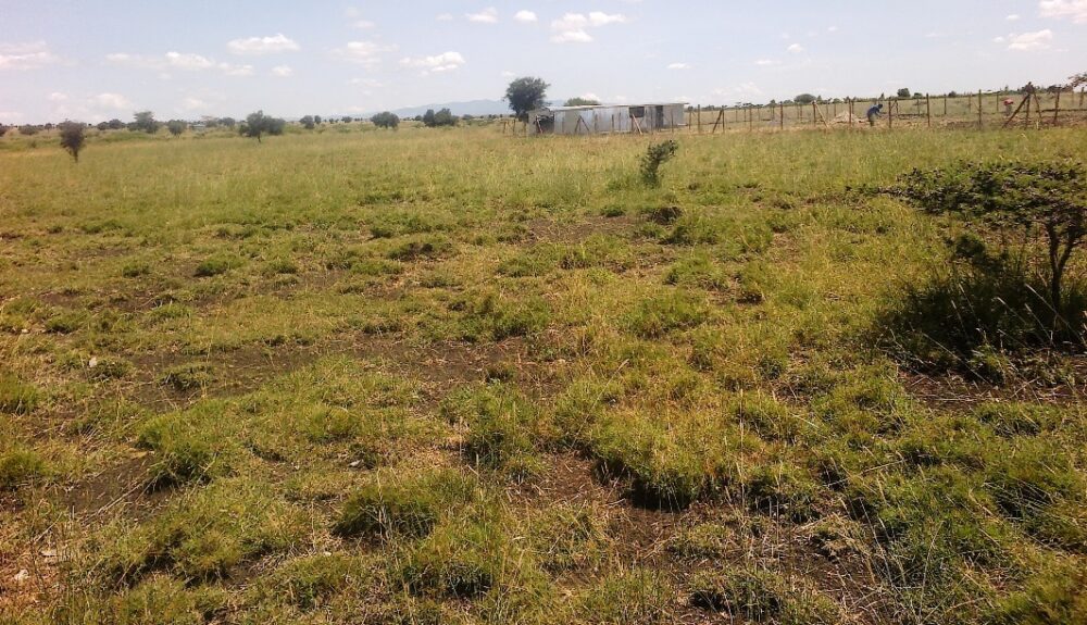 2-acres-land-on-sale-in-kitengela-acacia