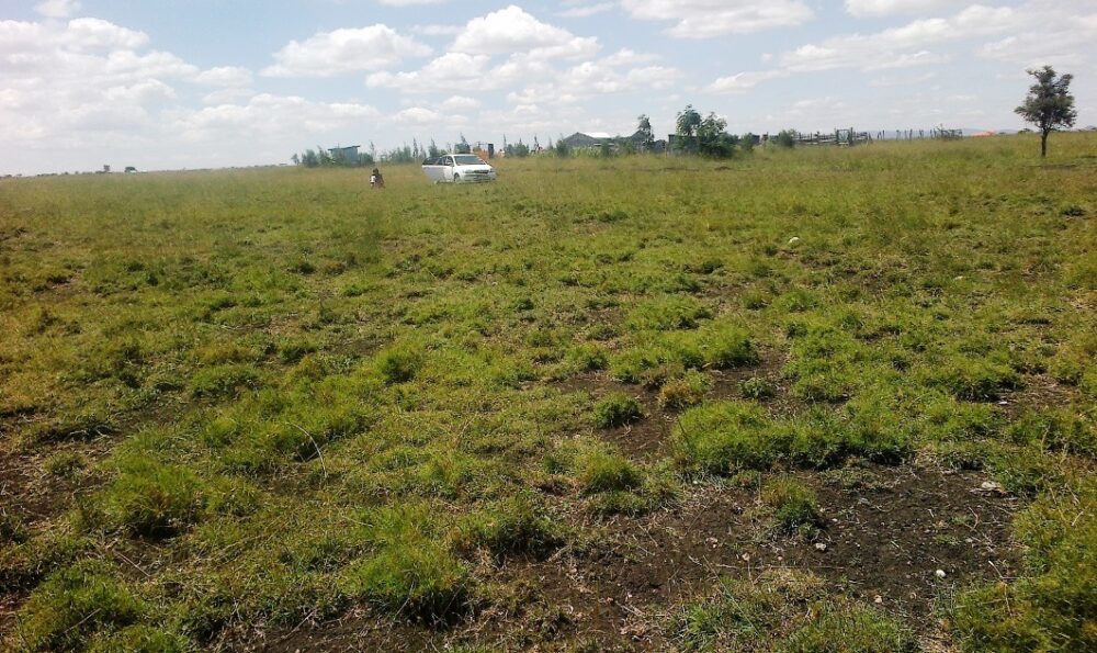 5-acres-land-on-sale-in-kitengela-acacia