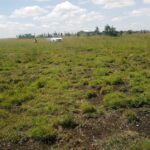 5-acres-land-on-sale-in-kitengela-acacia