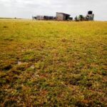 Kitengela-plots-for-sale_Thorn_Groove_area.01