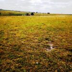 Kitengela-plots-for-sale_Thorn_Groove_area.02