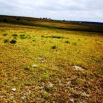 Kitengela-plots-for-sale_Thorn_Groove_area.05