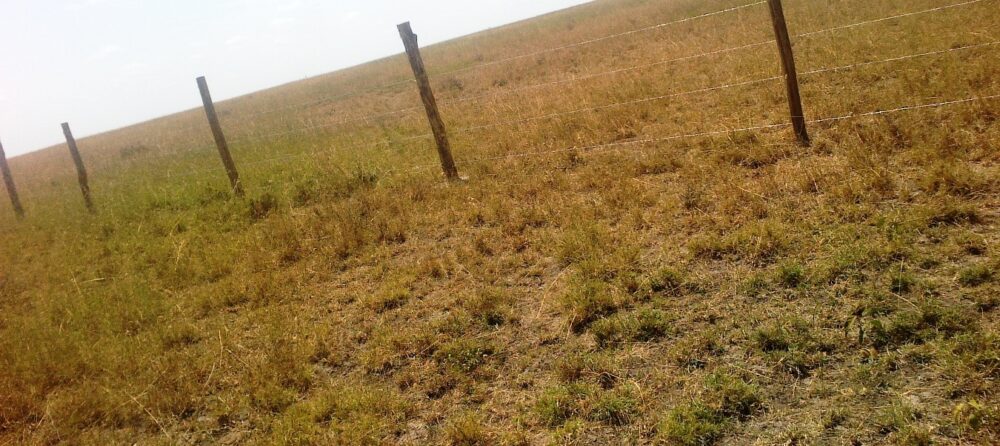 eigth-acre-plots-on-sale-in-kitengela-ol-turoto