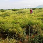 Kajiado-land-for-sale_Kilonito_1