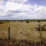 Kisaju_Kitengela Land for sale. 004