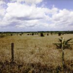 Kisaju_Kitengela Land for sale. 005