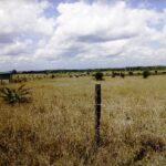 Kisaju_Kitengela Land for sale. 007