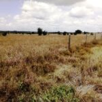 Kisaju_Kitengela Land for sale. 008