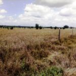 Kisaju_Kitengela Land for sale. 009