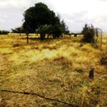 Kisaju_Kitengela-Land-for-sale_001