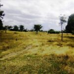 Kisaju_Kitengela-Land-for-sale_002