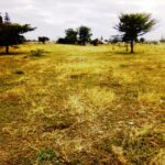 Kisaju_Kitengela-Land-for-sale_003