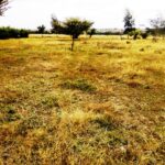 Kisaju_Kitengela-Land-for-sale_005