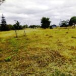 Kisaju_Kitengela-Land-for-sale_006