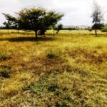 Kisaju_Kitengela-Land-for-sale_007