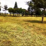 Kisaju_Kitengela-Land-for-sale_008