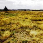 Kisaju_Kitengela-Land-for-sale_009