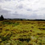 Kisaju_Kitengela-Land-for-sale_010