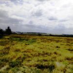 Kisaju_Kitengela-Land-for-sale_011