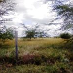 Kisaju_Kitengela-Land-for-sale_10Acres.1