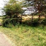 Kisaju_Kitengela-Land-for-sale_10Acres.10