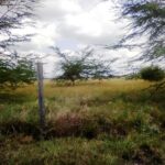 Kisaju_Kitengela-Land-for-sale_10Acres.2