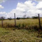 Kisaju_Kitengela-Land-for-sale_10Acres.3