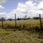 Kisaju_Kitengela-Land-for-sale_10Acres.4