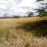 Kisaju_Kitengela-Land-for-sale_10Acres.5