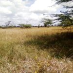 Kisaju_Kitengela-Land-for-sale_10Acres.6