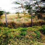 Kisaju_Kitengela-Land-for-sale_10Acres.8