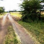 Kisaju_Kitengela-Land-for-sale_10Acres.9