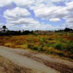 Kitengela plots for sale. 006