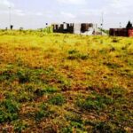 Kitengela-plots-for-sale.1_10