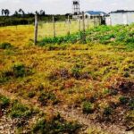 Kitengela-plots-for-sale.1_2