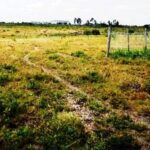 Kitengela-plots-for-sale.1_6