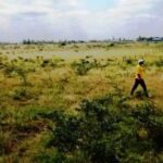 Kitengela-plots-for-sale.1_7