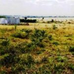 Kitengela-plots-for-sale.1_8