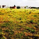 Kitengela-plots-for-sale.1_9