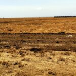 Kitengela-plots-for-sale_kca_1