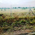 Kitengela_Chuna_II-plots-for-sale_7