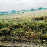 Kitengela_Chuna_II-plots-for-sale_8