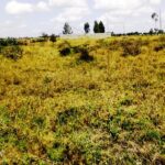 Kitengela_Korompoi-plots-for-sale.1