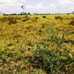 Kitengela_Korompoi-plots-for-sale.2