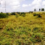 Kitengela_Korompoi-plots-for-sale.3