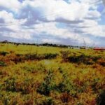 Kitengela_Korompoi-plots-for-sale.4