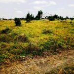 Kitengela_Milimani-plots-for-sale_22