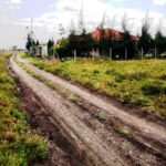 Kitengela_Milimani-plots-for-sale_23