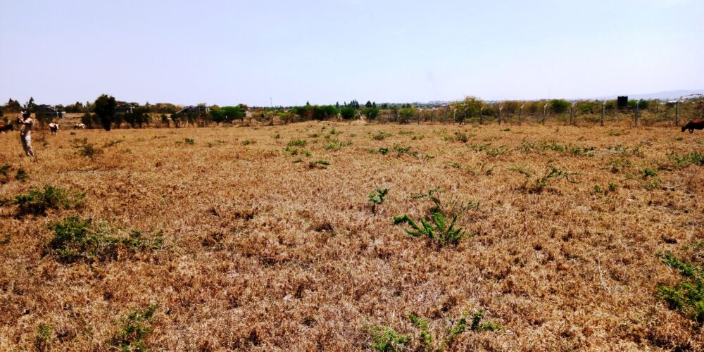 Kitengela_Milimani_50X100_plots_for_sale.1