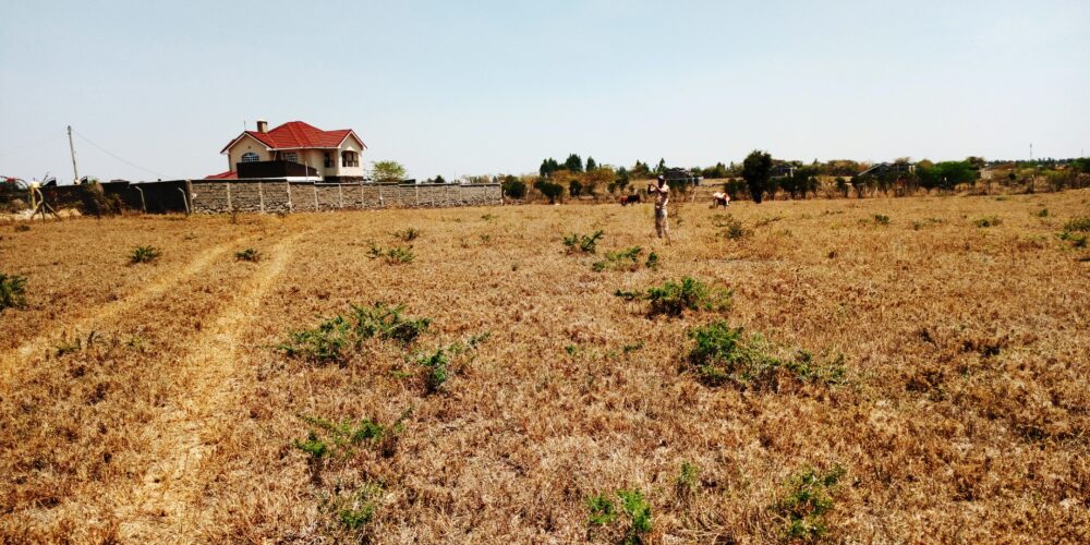 Kitengela_Milimani_50X100_plots_for_sale.2